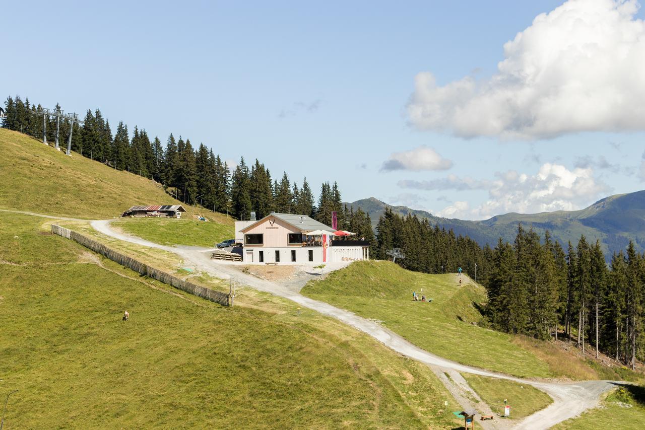 Schmiedhof Alm Hotel Цел ам Зее Екстериор снимка